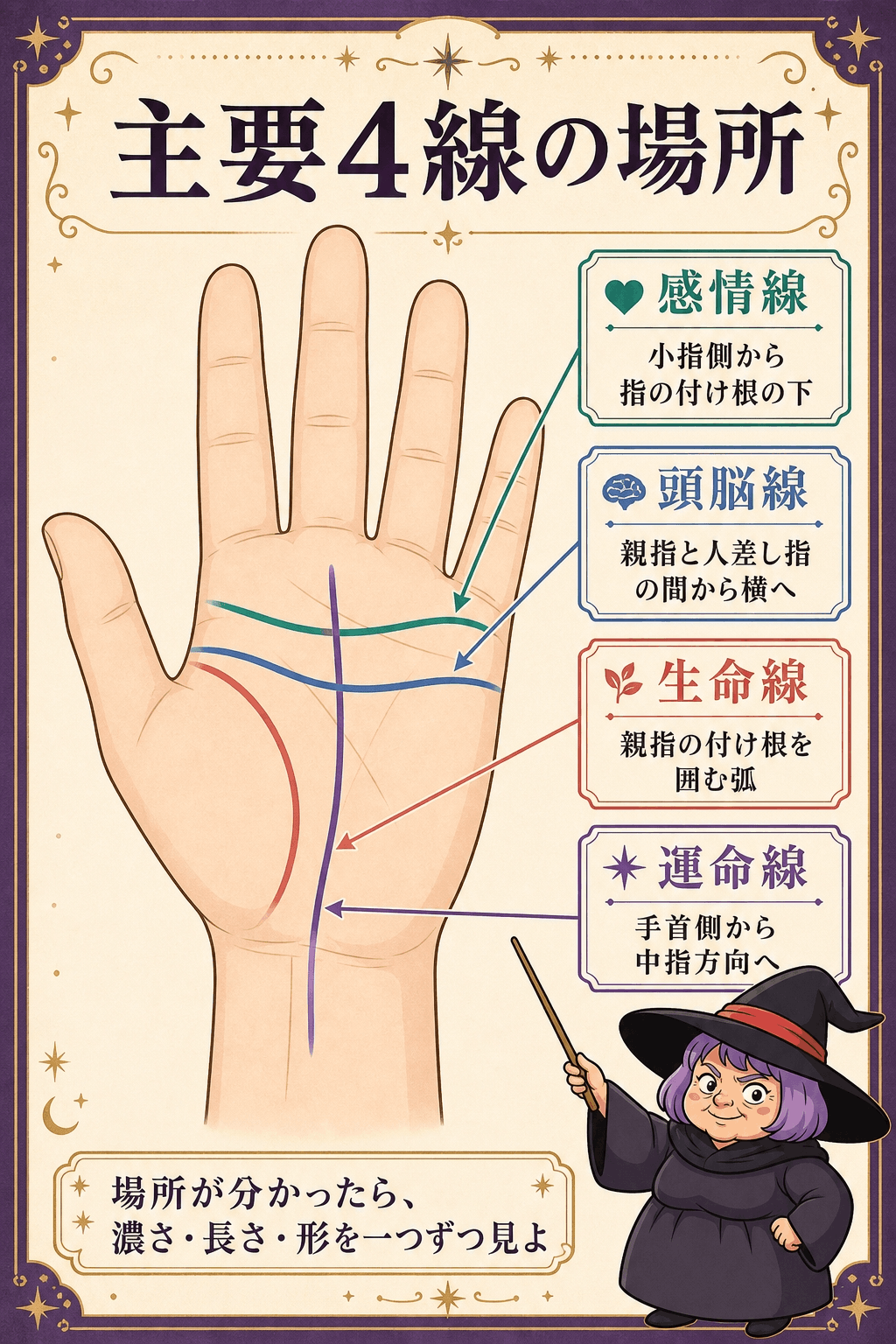 生命線・知能線・感情線・運命線の位置と見つける順番を示した図解