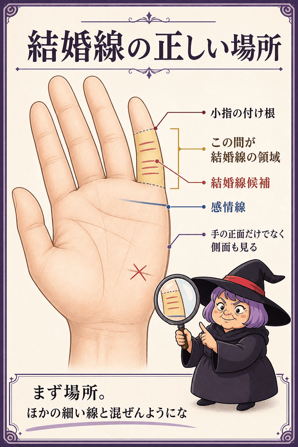 小指下の結婚線の位置と感情線・財運線との見分け方を示す図解