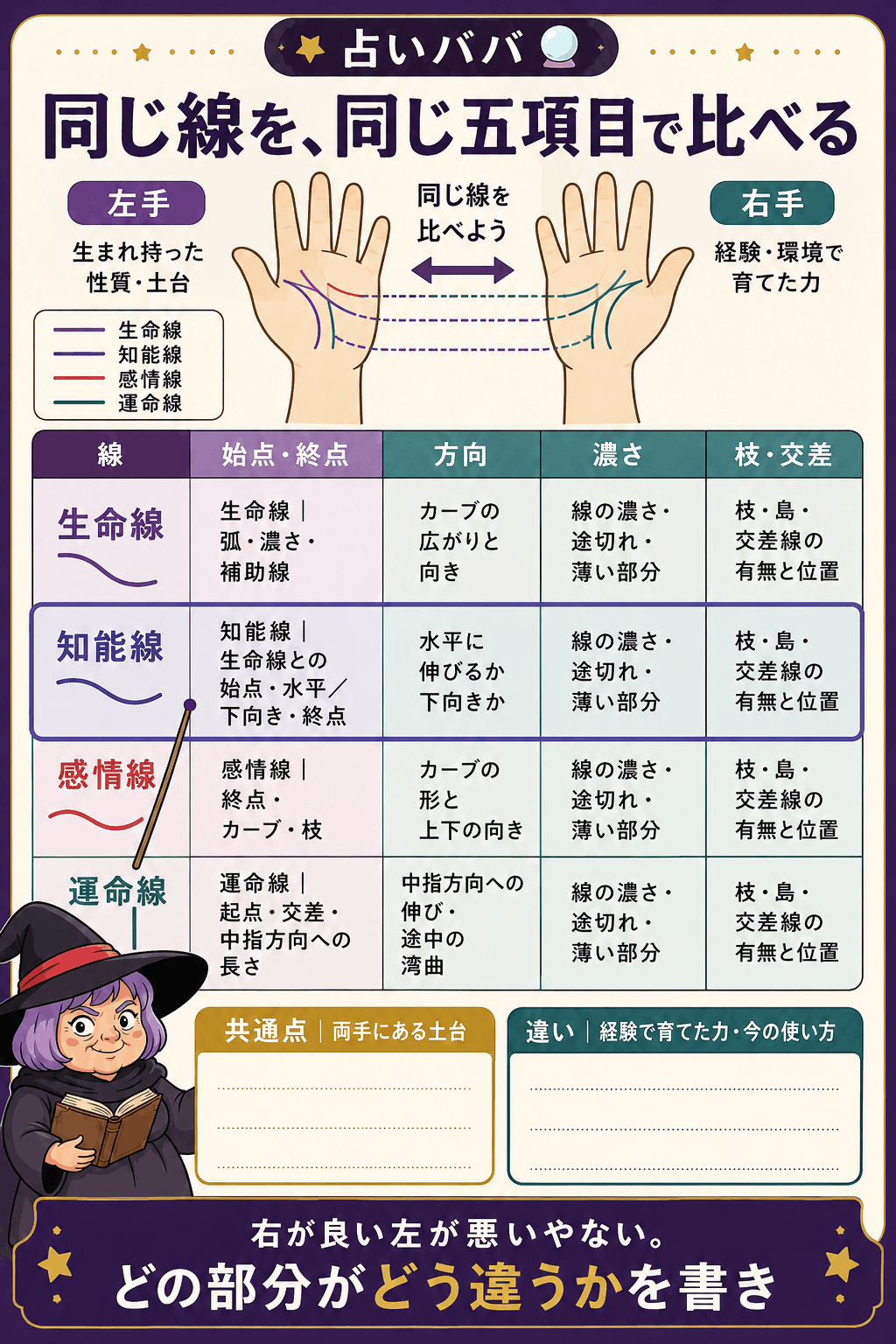 生命線・知能線・感情線・運命線を左右同じ五項目で比べる表
